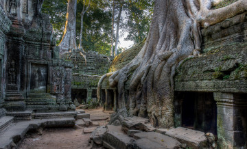 обоя cambodia angkor, города, - исторические,  архитектурные памятники, cambodia, angkor, камни, старина, памятник, культура, архитектура, дерево, корни