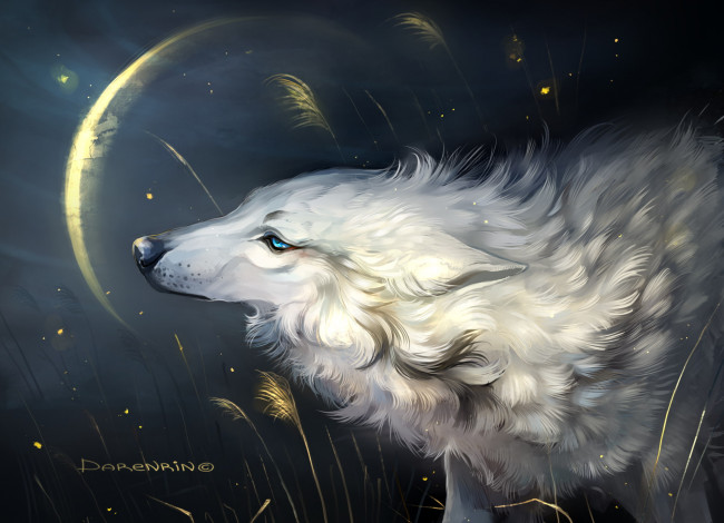 Обои картинки фото рисованное, животные,  волки, волк, белый, трава, луна