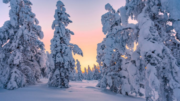 Картинка природа зима снег сугробы