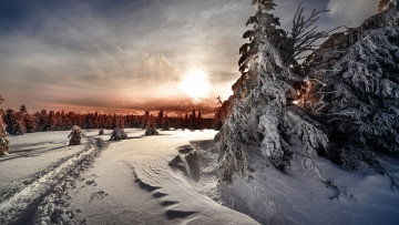 обоя природа, зима, пейзаж, белый, снег, восход, солнца, тропа, лес