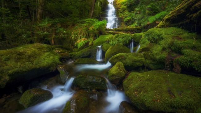 Обои картинки фото bastion creek cascades, tasmania, australia, природа, водопады, bastion, creek, cascades