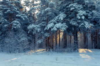 обоя природа, зима, лес, снег, россия, урал