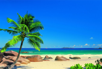 обоя природа, тропики, берег, море, пляж, океан, пальмы