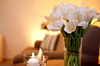 Картинка цветы тюльпаны свеча белый