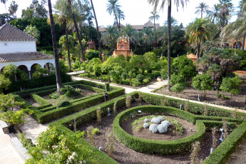 Картинка природа парк gardens real alcazar de sevilla испания