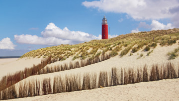 Картинка природа маяки песок растения