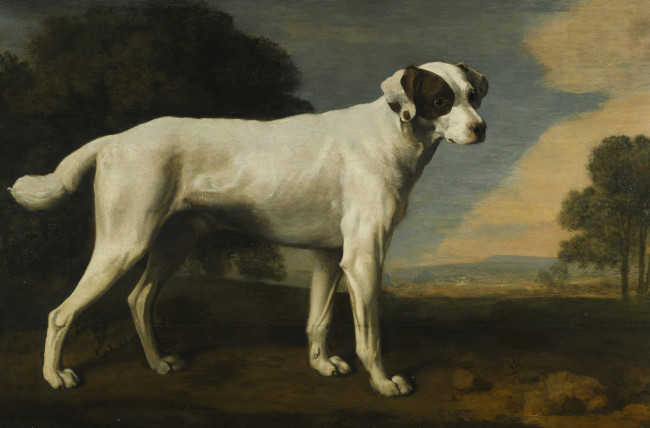 Обои картинки фото george, stubbs, рисованные, собака
