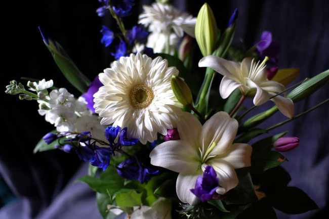 Обои картинки фото цветы, букеты, композиции, тюльпан, левкой, лилии, герберы