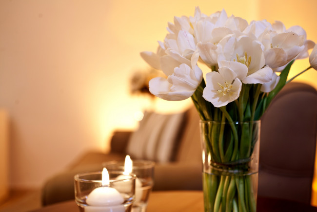 Обои картинки фото цветы, тюльпаны, свеча, белый