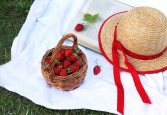 Картинка еда клубника земляника шляпа книга ягоды лукошко