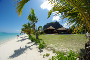 Картинка природа тропики отдых пальмы пляж