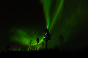 Картинка природа северное сияние небо звезды ночь деревья