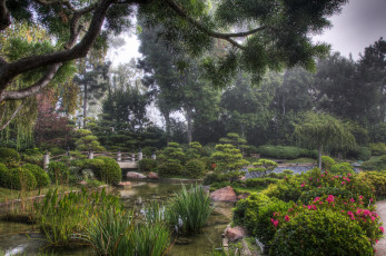 Картинка earl burns miller japanese garden california usa природа парк растения японский сад