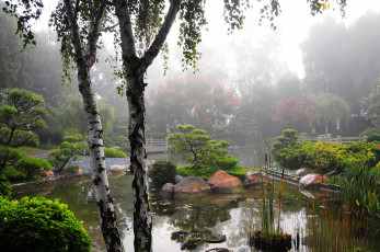 Картинка earl burns miller japanese garden california usa природа парк водоем растения