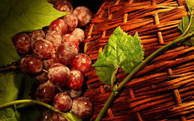 Обои картинки фото еда, виноград, корзина, ягоды, листья