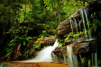 Картинка природа водопады деревья лес скалы водопад