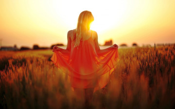 Картинка закат девушки -unsort+ блондинки воздушное создание девушка поле