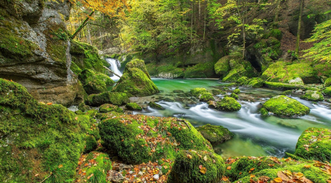 Обои картинки фото природа, реки, озера, река, камни, мох, осень, деревья, листья, лес