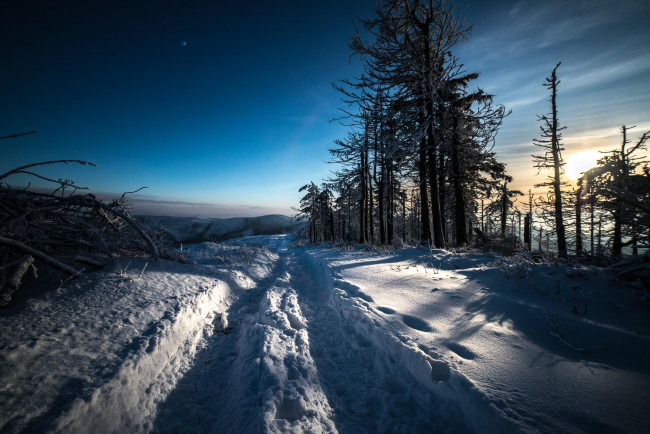 Обои картинки фото природа, зима, снег, небо, деревья, облака, колея, хворост
