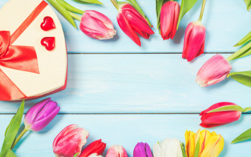 Картинка праздничные день+святого+валентина +сердечки +любовь цветы colorful тюльпаны wood flowers tulips spring gift box