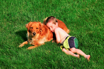 Картинка разное дети мальчик шорты собака лужайка