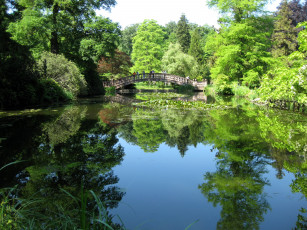 Картинка природа парк гессен германия