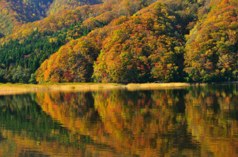 обоя природа, реки, озера, отражение, берег, фукусима, озеро, акимото, деревья, Япония