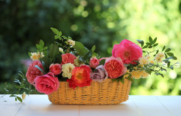 Картинка цветы разные вместе розы жасмин корзинка