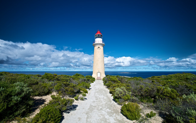 Обои картинки фото kangaroo, island, australia, природа, маяки, австралия, lighthouse, океан, побережье, кусты, облака