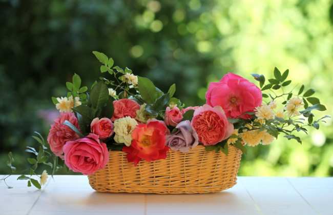 Обои картинки фото цветы, разные, вместе, розы, жасмин, корзинка