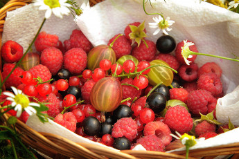 Картинка еда фрукты +ягоды крыжовник малина смородина