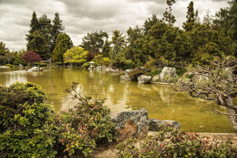 Картинка природа парк кусты деревья пруд