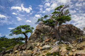 Картинка природа горы облака деревья камни
