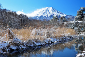 Картинка природа реки озера горы снег река лес трава