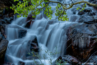 Картинка природа водопады вода листва ветка скалы камни поток