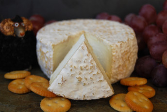 обоя blanch de torrec, еда, сырные изделия, сыр
