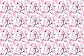 Картинка векторная+графика цветы+ flowers вишня сакура ветки цветы