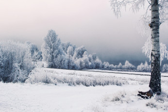 Картинка природа зима железная дорога иней деревья снег швеция