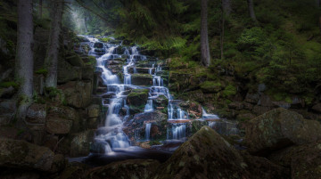 Картинка природа водопады ступени скалы лес вода поток река ручей водопад камни германия