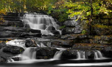 Картинка природа водопады каскад водопад река лес