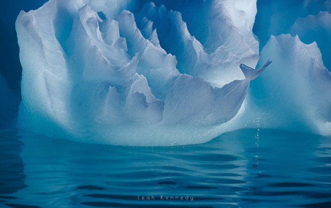 Обои картинки фото природа, айсберги и ледники, антарктика, лёд, вода, айсберг