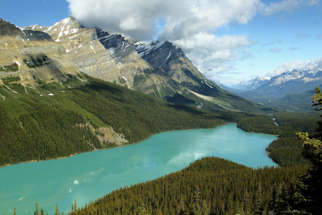 Обои картинки фото природа, реки, озера, леса, облака, небо, канадские, скалистые, горы, национальный, парк, банф, пейто, альберта, канада, озеро