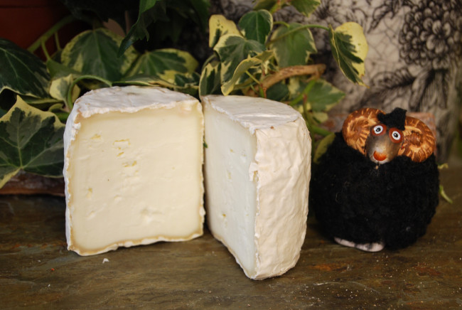 Обои картинки фото blando marvall, еда, сырные изделия, сыр