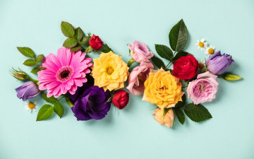 Картинка цветы разные+вместе colorful flowers composition floral