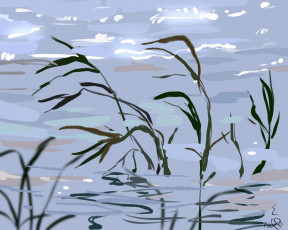 Картинка рисованное природа камыш вода озеро