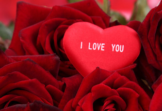 Картинка праздничные день+святого+валентина +сердечки +любовь сердечко розы