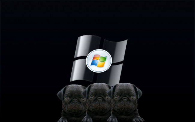 Обои картинки фото компьютеры, windows vista, windows longhorn, собаки, фон, логотип