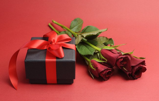 Обои картинки фото цветы, розы, red, roses, romantic, gift, романтика, подарок, любовь