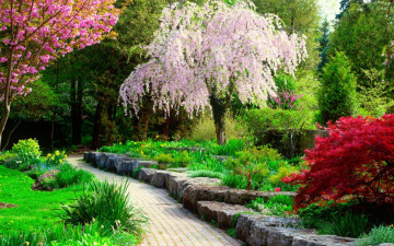 Картинка природа парк весна цветущие деревья