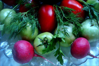 Картинка еда овощи томаты помидоры зелень редис